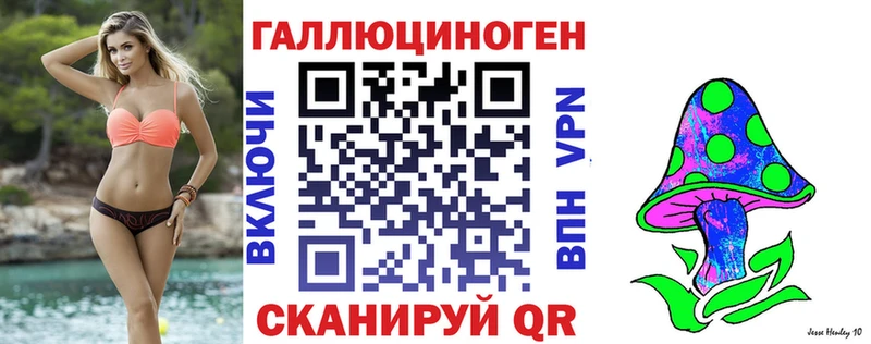 Псилоцибиновые грибы Magic Shrooms  кракен рабочий сайт  Гороховец  продажа наркотиков 